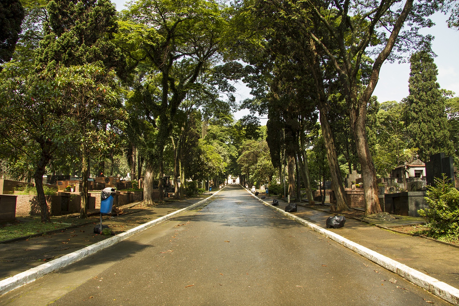 Cemitério Campo Grande